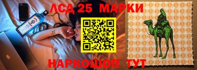 молекула духа Донской