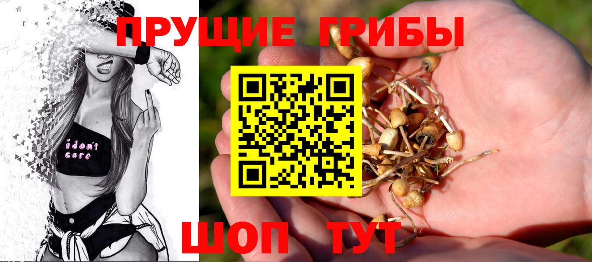 Псилоцибиновые грибы мицелий  Галлюциногенные грибы MAGIC MUSHROOMS  где купить   Нефтеюганск  Вход с VPN 
